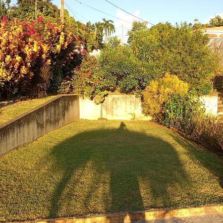 charmant appartement verdoyant Le Morne-Vert Buitenkant foto