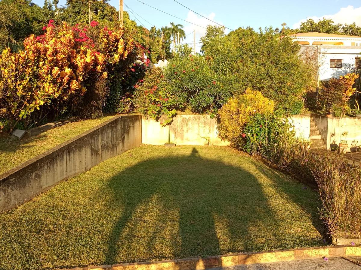 charmant appartement verdoyant Le Morne-Vert Buitenkant foto